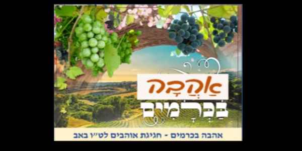 "אהבה בכרמים"