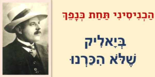 "הכניסיני תחת כנפך"