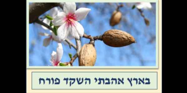 "בארץ אהבתי השקד פורח"