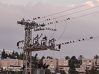 סיפורים קטנים מסקנות גדולות
