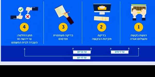 צווי ירושה - חיזיון העתיד